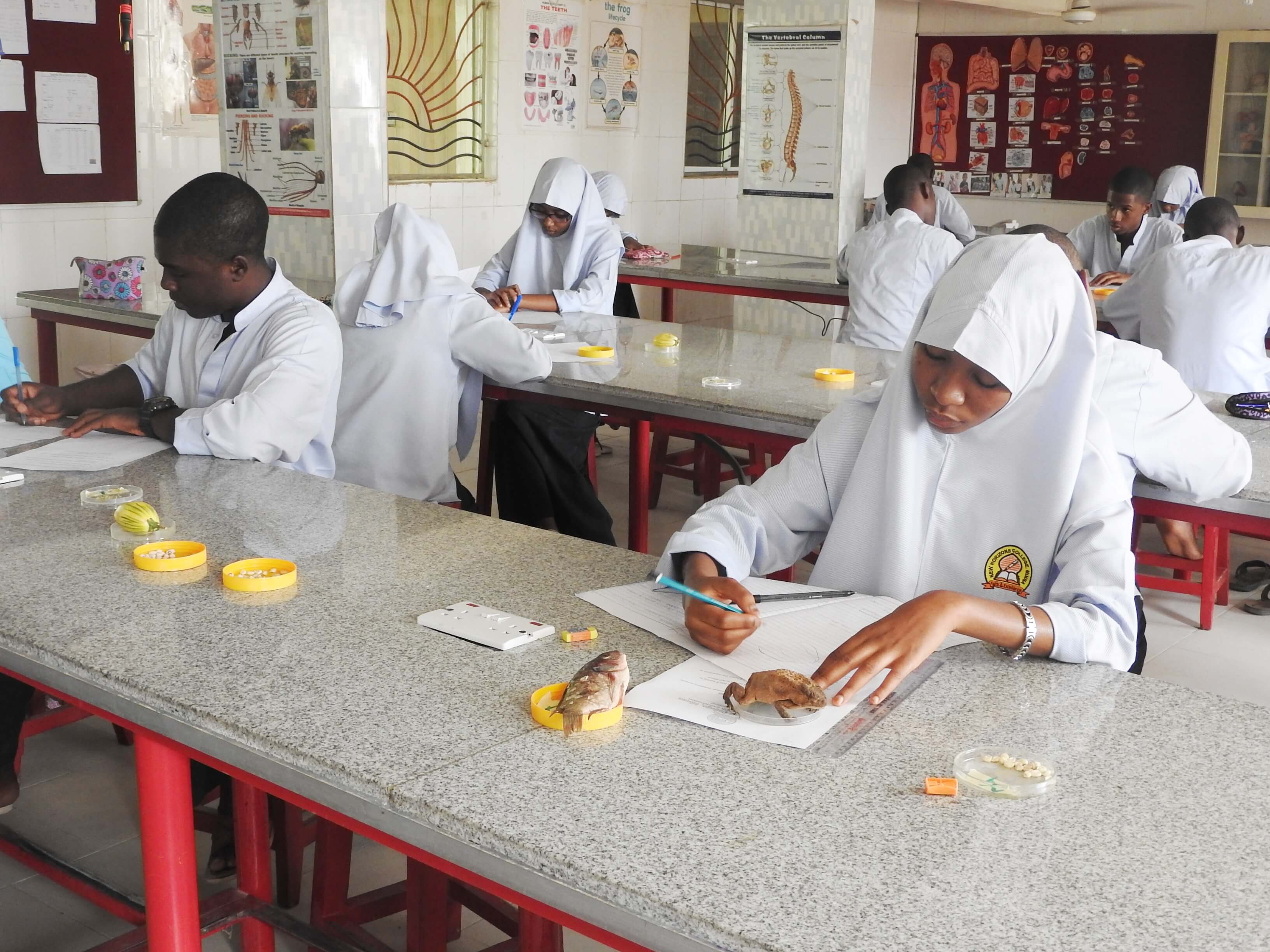 Cambridge IGCSE & WAEC Preparation Milestones